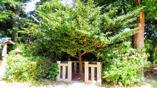 阿奈志神社の自然