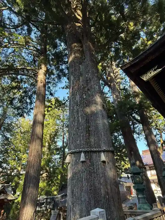 三峯神社の{uncategorized: "未分類", other: "その他", undefined: "問題あり", building: "その他建物", grave: "お墓", sacred_gate: "鳥居", guardian: "狛犬", statue: "像", buddha: "仏像", history: "歴史", nature: "自然", garden: "庭園", animal: "動物", pagoda: "塔", temizu: "手水舎", mountain_gate: "山門・神門", sanctuary: "本殿・本堂", subordinate: "末社・摂社", art: "芸術", scenery: "景色", jizo: "地蔵", ema: "絵馬", goshuin: "御朱印", omikuji: "おみくじ", items: "授与品その他", amulet: "お守り", goshuincho: "御朱印帳", eats: "食事", festival: "お祭り", votive_dance: "神楽", shichigosan: "七五三参", wedding: "結婚式", experience: "体験その他", initially: "初詣", around: "周辺", anti_infection: "感染症対策"}