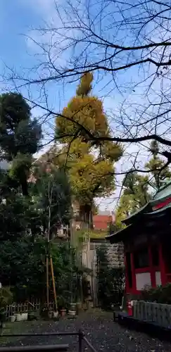 三田春日神社の自然
