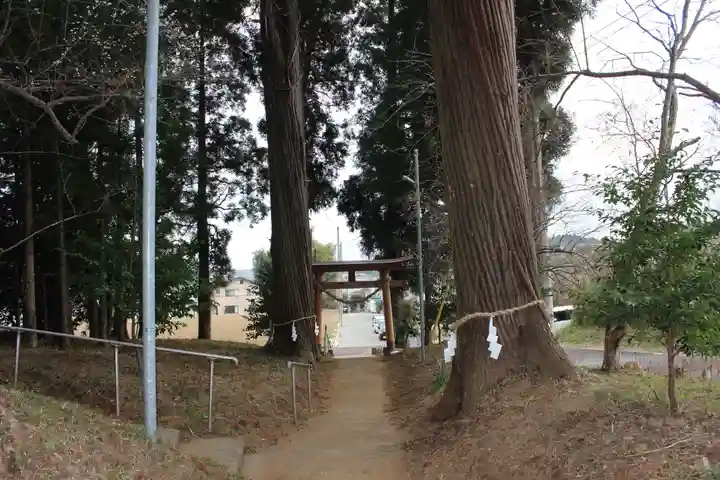 八幡神社(千葉県)