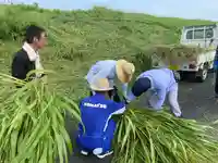 美奈宜神社(福岡県)