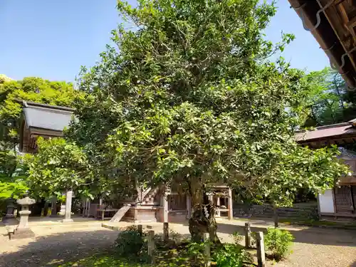 舟城神社の庭園