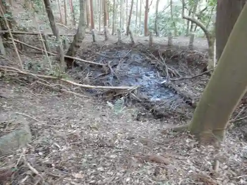 矢田寺の自然