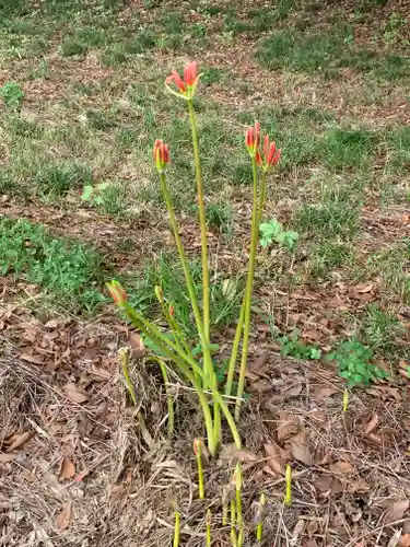 胸形神社(栃木県)