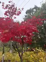 白山神社(新潟県)