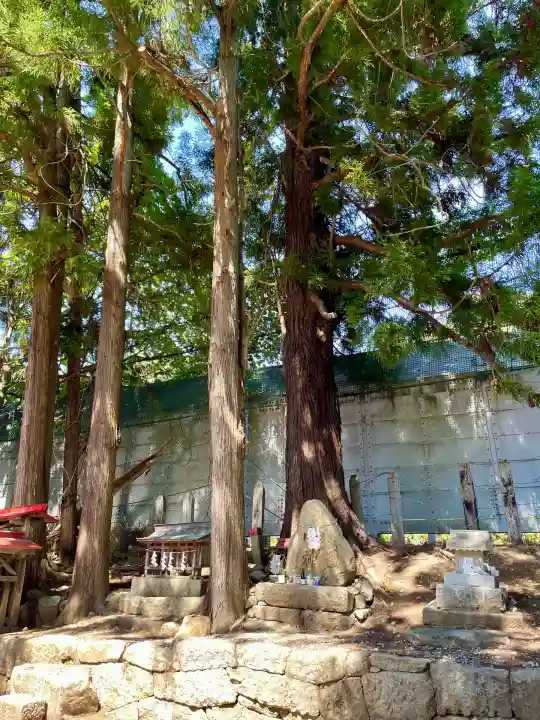 初鹿野諏訪神社(山梨県)