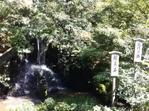 鹿苑寺（金閣寺）の庭園