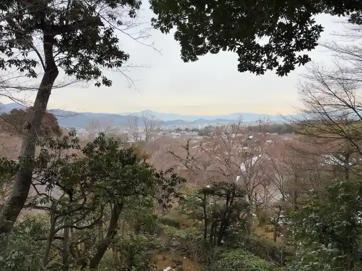 常寂光寺(京都府)