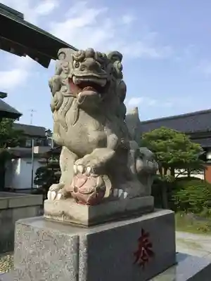 奥戸天祖神社の狛犬