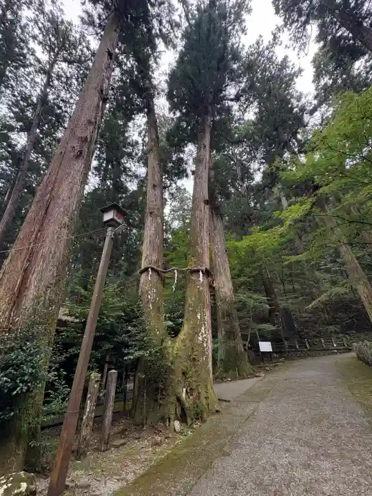 最乗寺(道了尊)(神奈川県)