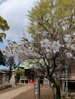 白幡八幡神社(神奈川県)