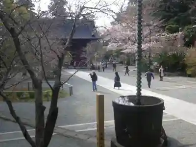 妙本寺のその他建物