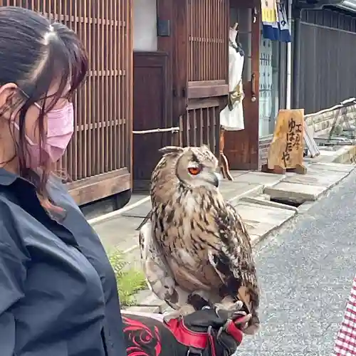有松天満社(愛知県)