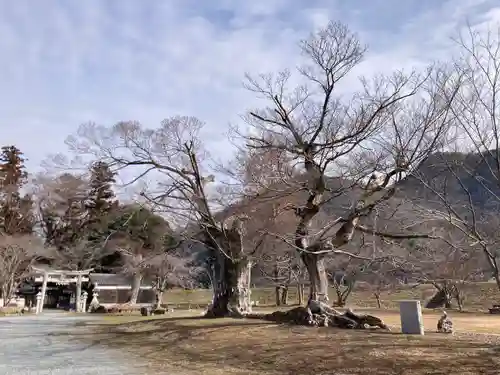 新宮八幡神社(兵庫県)