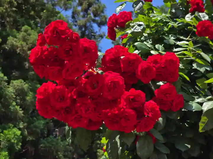 霊山寺(奈良県)