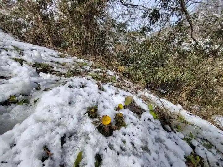 正観音堂(福島県)