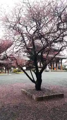 興正寺(京都府)