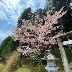 高靇神社の自然