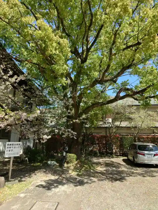 温泉山 安楽寺(四国霊場第六番札所)(徳島県)