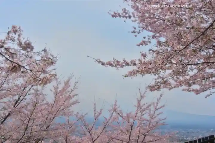 新倉富士浅間神社(山梨県)