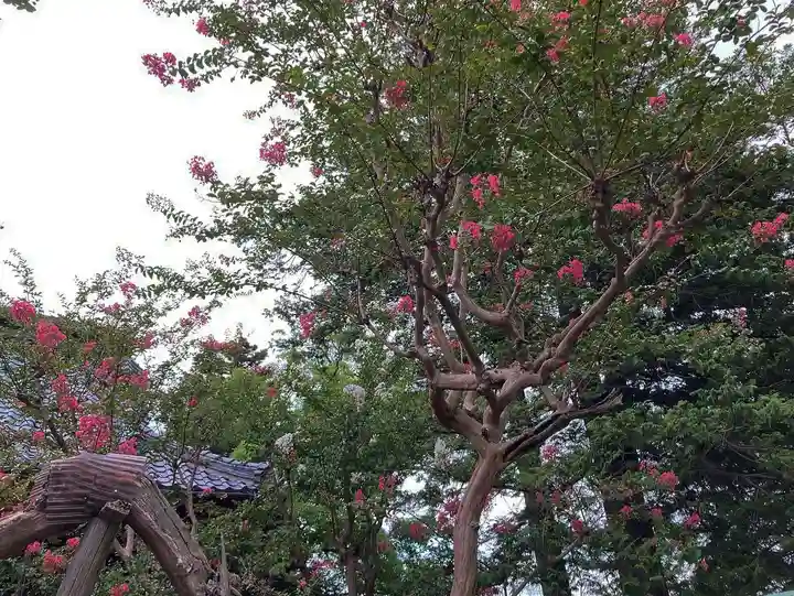 光明院 薬師堂(新潟県)