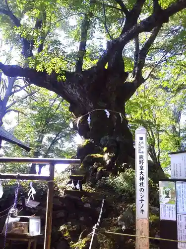 熊野皇大神社の自然