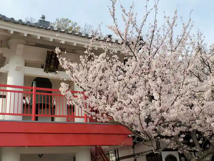 立江寺のその他建物