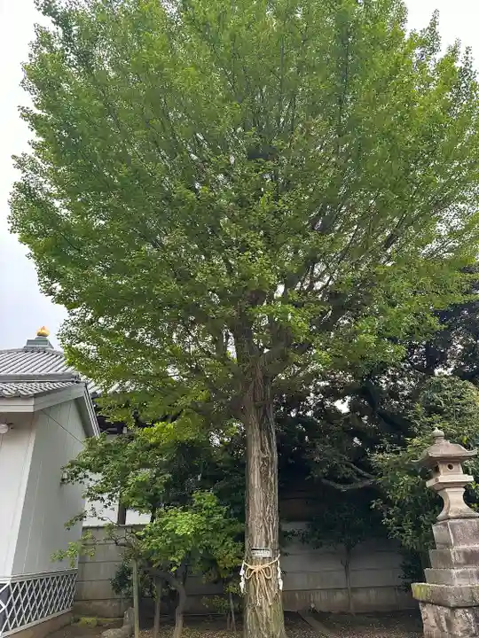 綾瀬稲荷神社(東京都)