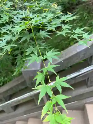 穴八幡宮(東京都)