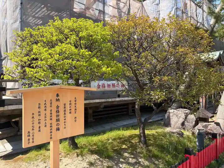 白山神社の{uncategorized: "未分類", other: "その他", undefined: "問題あり", building: "その他建物", grave: "お墓", sacred_gate: "鳥居", guardian: "狛犬", statue: "像", buddha: "仏像", history: "歴史", nature: "自然", garden: "庭園", animal: "動物", pagoda: "塔", temizu: "手水舎", mountain_gate: "山門・神門", sanctuary: "本殿・本堂", subordinate: "末社・摂社", art: "芸術", scenery: "景色", jizo: "地蔵", ema: "絵馬", goshuin: "御朱印", omikuji: "おみくじ", items: "授与品その他", amulet: "お守り", goshuincho: "御朱印帳", eats: "食事", festival: "お祭り", votive_dance: "神楽", shichigosan: "七五三参", wedding: "結婚式", experience: "体験その他", initially: "初詣", around: "周辺", anti_infection: "感染症対策"}
