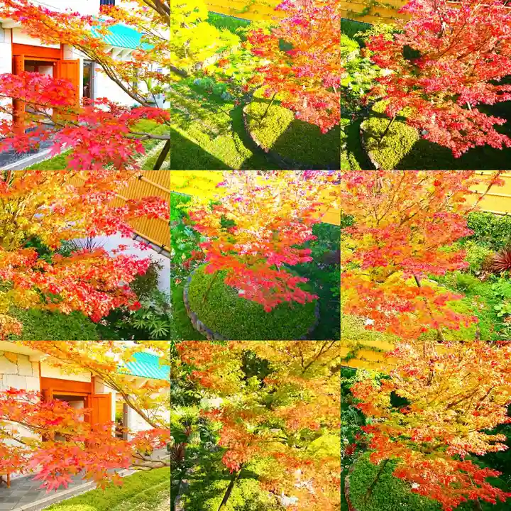 寿量山 速成寺の自然