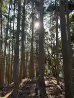 三峰神社の自然