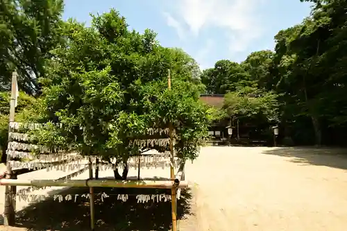 廣瀬大社(奈良県)