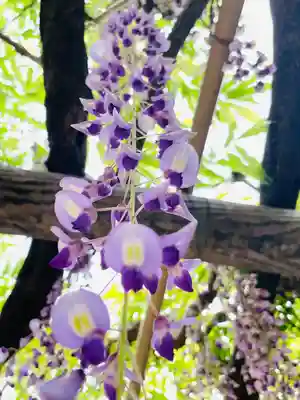 行興寺(静岡県)