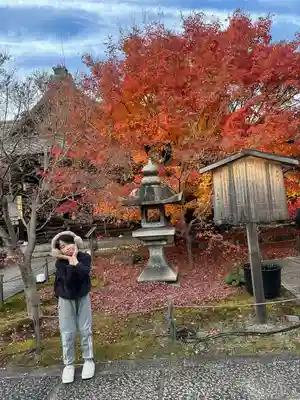 勝林寺(京都府)