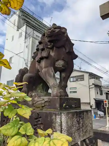 安井金比羅宮の狛犬