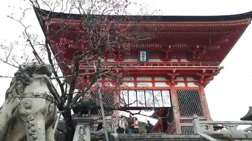 清水寺の狛犬