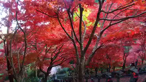 大山寺(神奈川県)