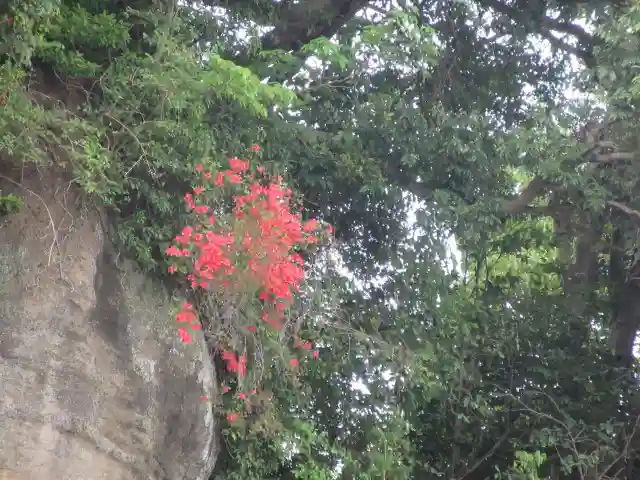 英勝寺(神奈川県)