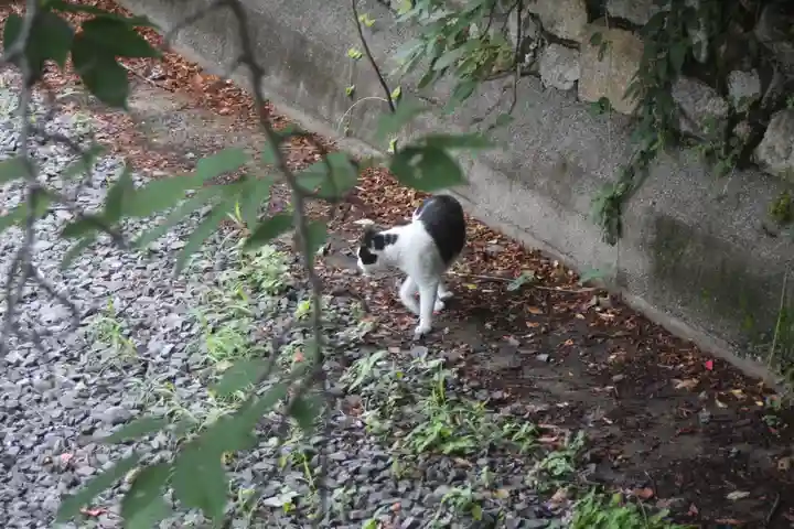 誕生水弁財天(京都府)