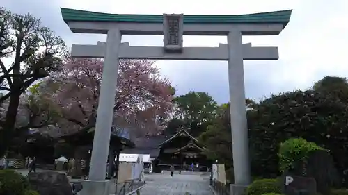 出雲大社相模分祠の鳥居