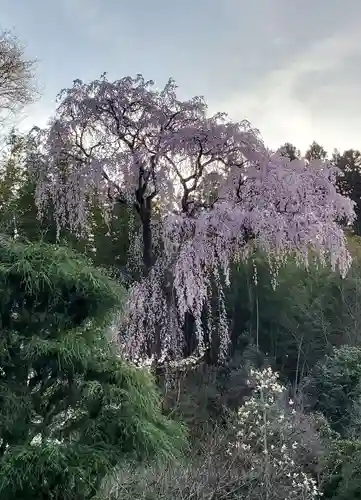 福聚寺(福島県)