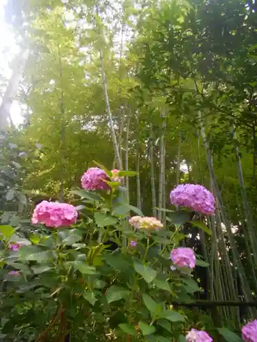 蛇苦止明神（蛇苦止堂）の自然