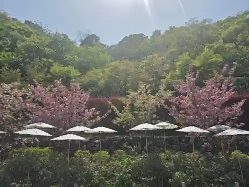長谷寺本坊　大講堂(奈良県)