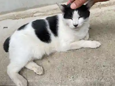 鎌数伊勢大神宮の御朱印