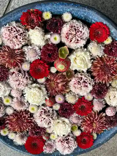 行田八幡神社(埼玉県)