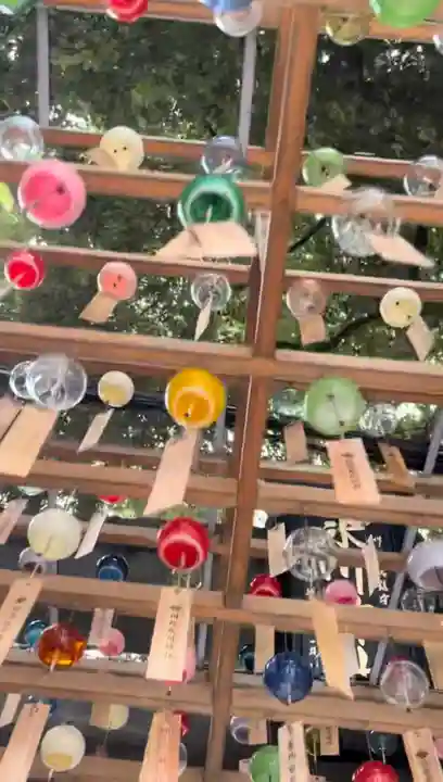 川越氷川神社(埼玉県)