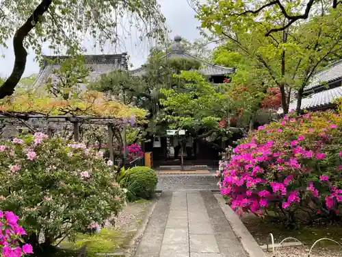 雲心寺の庭園