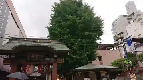 とげぬき地蔵尊 高岩寺(東京都)