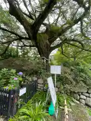 久安寺(大阪府)